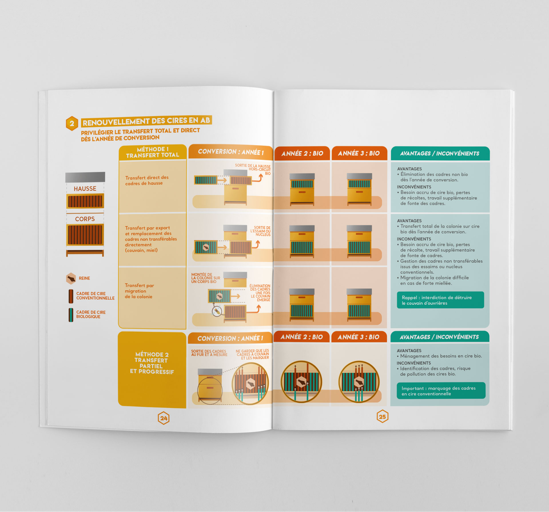 Adara-guide3