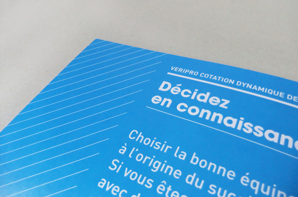 veripro_brochure10